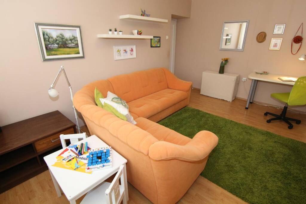 Fast Friend - Cozy Apartment In The Center With Private Garage リエカ エクステリア 写真